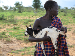 Unearthing The Pen Trailer